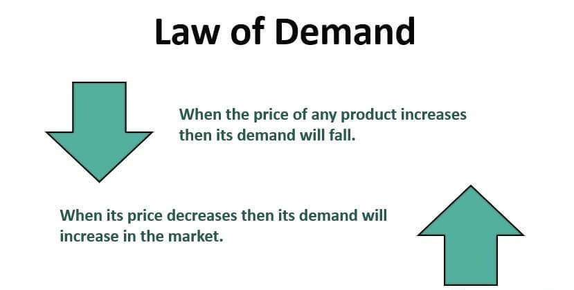 essay about law of demand